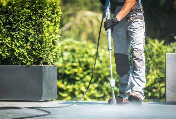 Best Parking Lot and Garage Cleaning  in La Presa, CA