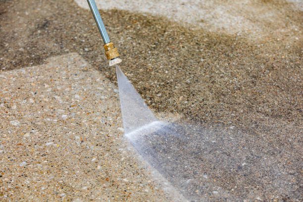 Best Pool Deck Cleaning  in La Presa, CA