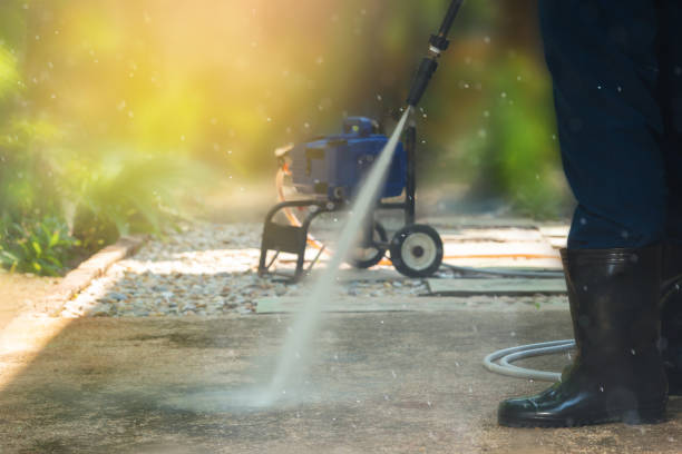 Best Gutter Cleaning  in La Presa, CA
